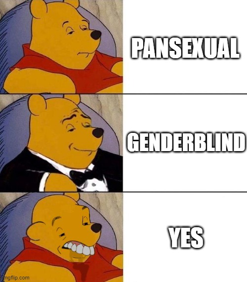 Y E S | PANSEXUAL; GENDERBLIND; YES | image tagged in best better blurst,pan,pansexual,lgbt,tuxedo winnie the pooh | made w/ Imgflip meme maker