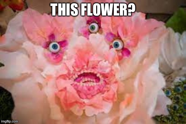 THIS FLOWER? | made w/ Imgflip meme maker
