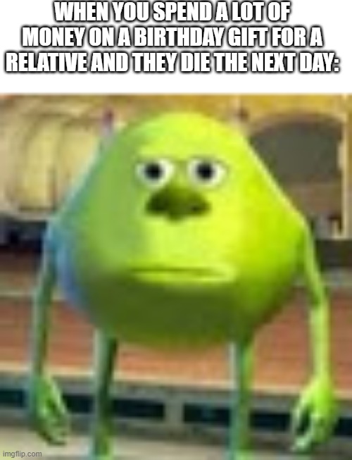 Wasted my goddang money- |  WHEN YOU SPEND A LOT OF MONEY ON A BIRTHDAY GIFT FOR A RELATIVE AND THEY DIE THE NEXT DAY: | image tagged in sully wazowski,funny | made w/ Imgflip meme maker