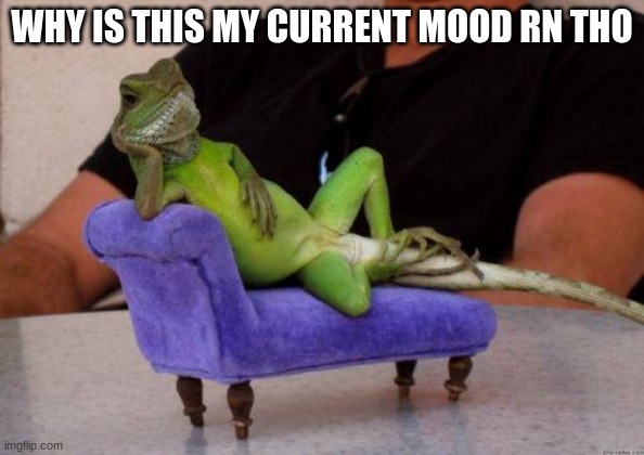 wth why is this a mood |  WHY IS THIS MY CURRENT MOOD RN THO | image tagged in memes,sassy iguana | made w/ Imgflip meme maker