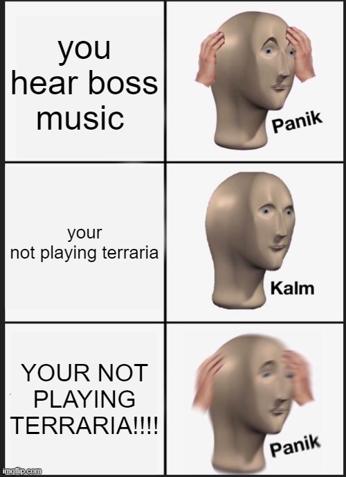 Panik!!! | you hear boss music; your not playing terraria; YOUR NOT PLAYING TERRARIA!!!! | image tagged in memes,panik kalm panik | made w/ Imgflip meme maker