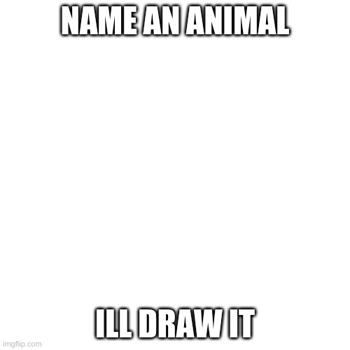 i guess | NAME AN ANIMAL; ILL DRAW IT | image tagged in memes,blank transparent square,drawing | made w/ Imgflip meme maker