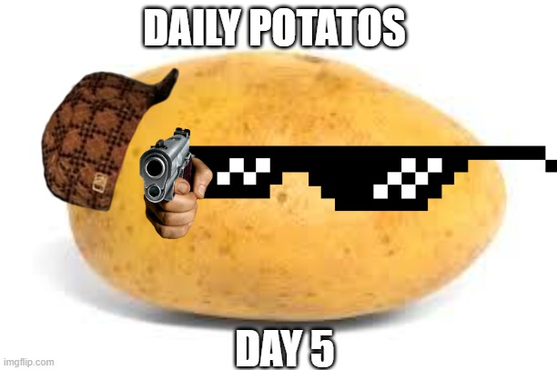 Potato | DAILY POTATOS; DAY 5 | image tagged in potato | made w/ Imgflip meme maker