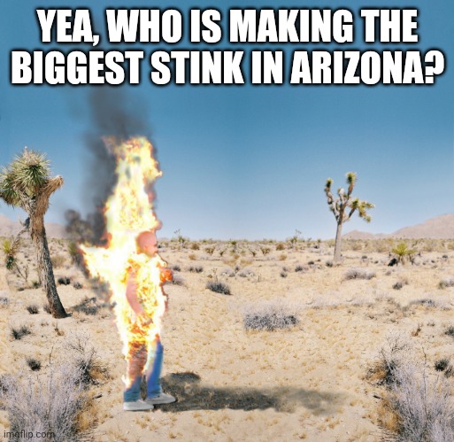 Dry Heat | YEA, WHO IS MAKING THE BIGGEST STINK IN ARIZONA? | image tagged in dry heat | made w/ Imgflip meme maker