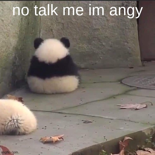 >:( | no talk me im angy | image tagged in no talk me im angy | made w/ Imgflip meme maker