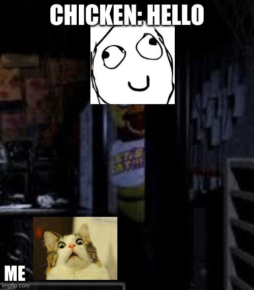 DERP | CHICKEN: HELLO; ME | image tagged in chica looking in window fnaf | made w/ Imgflip meme maker