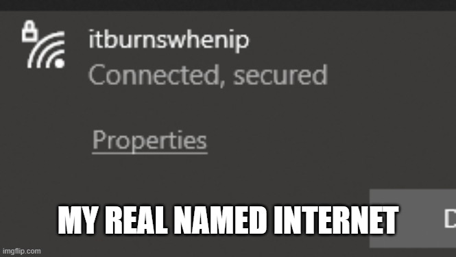 IP HAHAHAHAHAHA ._. | MY REAL NAMED INTERNET | image tagged in haha,funny,meme | made w/ Imgflip meme maker