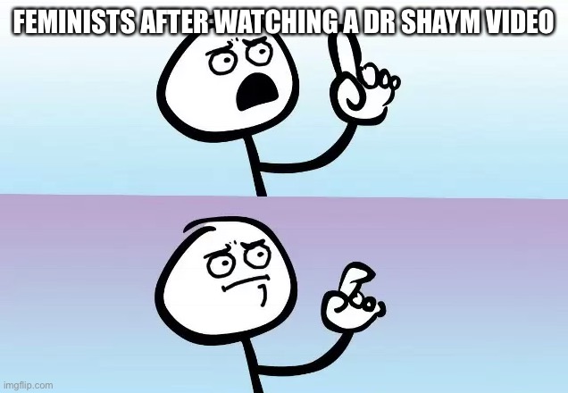 Pretty true tho | FEMINISTS AFTER WATCHING A DR SHAYM VIDEO | image tagged in feminism,feminists,funny memes,so true memes | made w/ Imgflip meme maker