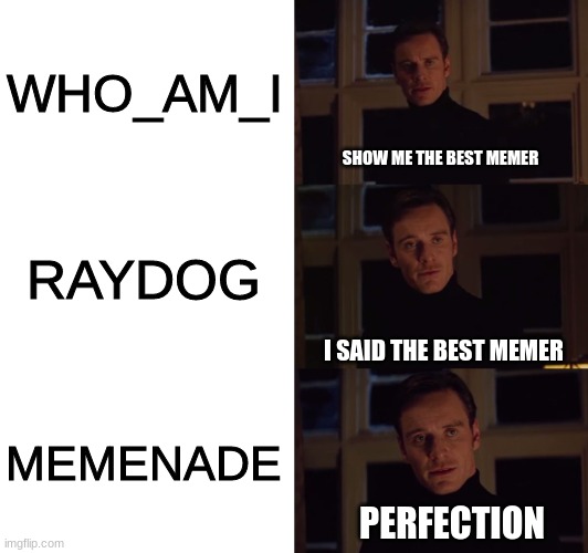 perfection | WHO_AM_I; SHOW ME THE BEST MEMER; RAYDOG; I SAID THE BEST MEMER; MEMENADE; PERFECTION | image tagged in perfection | made w/ Imgflip meme maker