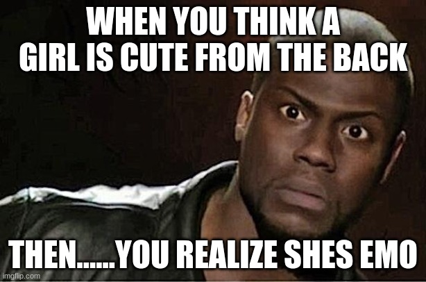 Kevin Hart Meme | WHEN YOU THINK A GIRL IS CUTE FROM THE BACK; THEN......YOU REALIZE SHES EMO | image tagged in memes,kevin hart | made w/ Imgflip meme maker