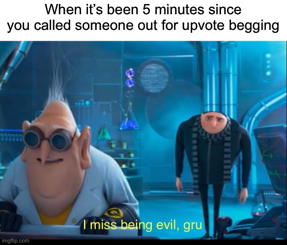 Thebigpig dude | When it’s been 5 minutes since you called someone out for upvote begging | image tagged in funny,memes,gru,thebigpig,upvote begging | made w/ Imgflip meme maker