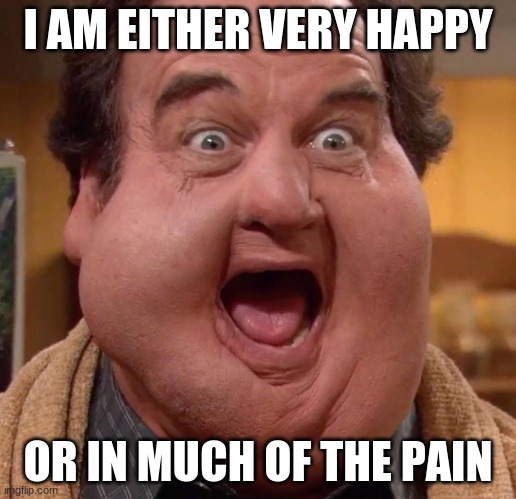 Jim Belushi | I AM EITHER VERY HAPPY; OR IN MUCH OF THE PAIN | image tagged in jim belushi | made w/ Imgflip meme maker