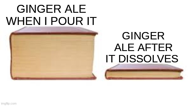 Yes | GINGER ALE WHEN I POUR IT; GINGER ALE AFTER IT DISSOLVES | image tagged in big book small book,ginger,ale,soda,beverage | made w/ Imgflip meme maker