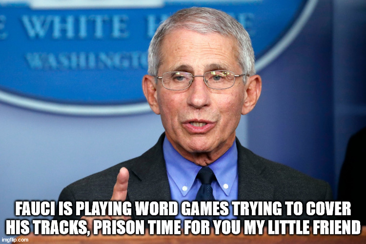 Lying Fauci | FAUCI IS PLAYING WORD GAMES TRYING TO COVER HIS TRACKS, PRISON TIME FOR YOU MY LITTLE FRIEND | image tagged in fauchi lecture | made w/ Imgflip meme maker