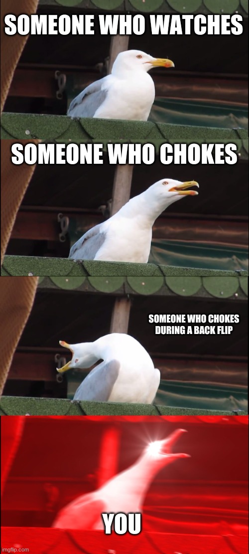 Me Be Like | SOMEONE WHO WATCHES; SOMEONE WHO CHOKES; SOMEONE WHO CHOKES DURING A BACK FLIP; YOU | image tagged in memes,inhaling seagull | made w/ Imgflip meme maker