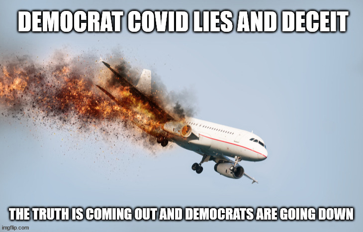 Democrat Lies | image tagged in stupid liberals,democrats | made w/ Imgflip meme maker