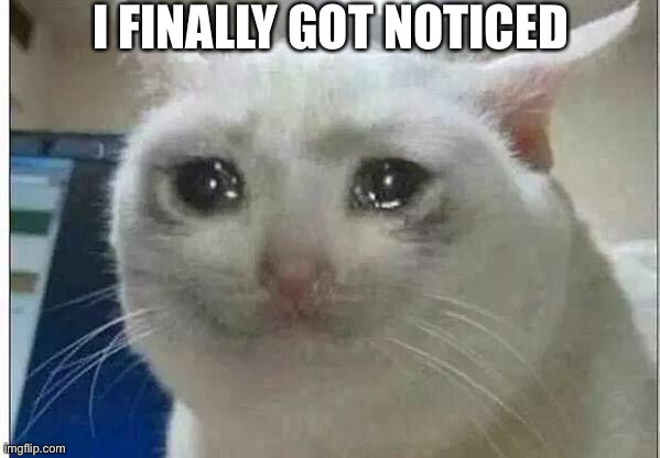 crying cat | I FINALLY GOT NOTICED | image tagged in crying cat | made w/ Imgflip meme maker