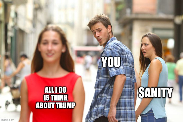 Distracted Boyfriend Meme | SANITY YOU ALL I DO IS THINK ABOUT TRUMP | image tagged in memes,distracted boyfriend | made w/ Imgflip meme maker