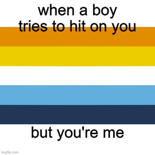 meme |  when a boy tries to hit on you; but you're me | image tagged in lol funny | made w/ Imgflip meme maker