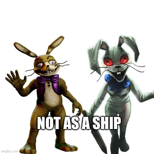 NOT AS A SHIP | made w/ Imgflip meme maker