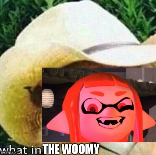 What in tarnation dog | THE WOOMY | image tagged in what in tarnation dog | made w/ Imgflip meme maker