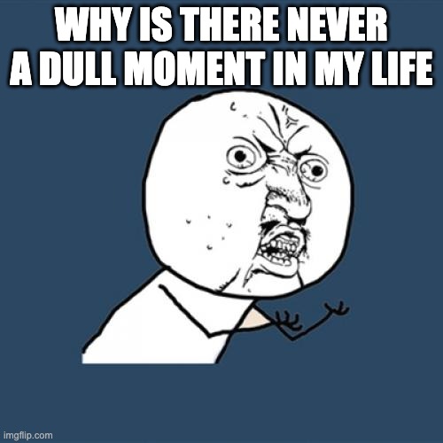 Y U No Meme | WHY IS THERE NEVER A DULL MOMENT IN MY LIFE | image tagged in memes,y u no | made w/ Imgflip meme maker