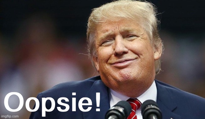 High Quality Donald Trump oopsie! Blank Meme Template