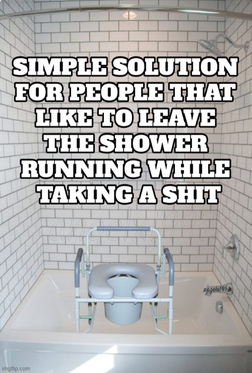 image tagged in bathroom,toilet,commode,shower,water conservation,shit | made w/ Imgflip meme maker