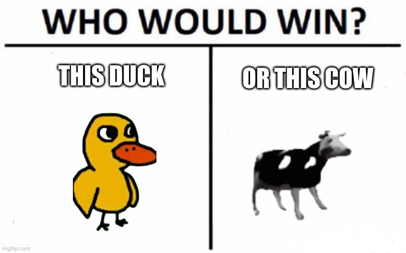 THIS DUCK; OR THIS COW | image tagged in memes | made w/ Imgflip meme maker