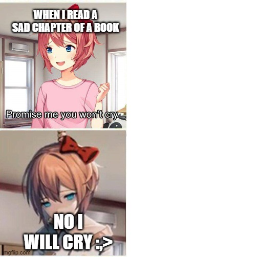 Promise you won't cry | WHEN I READ A SAD CHAPTER OF A BOOK; NO I WILL CRY :,> | image tagged in promise you won't cry | made w/ Imgflip meme maker