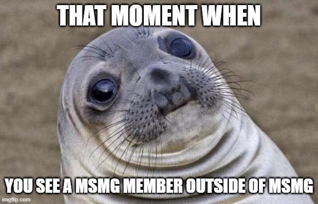 Awkward Moment Sealion | THAT MOMENT WHEN; YOU SEE A MSMG MEMBER OUTSIDE OF MSMG | image tagged in memes,awkward moment sealion | made w/ Imgflip meme maker