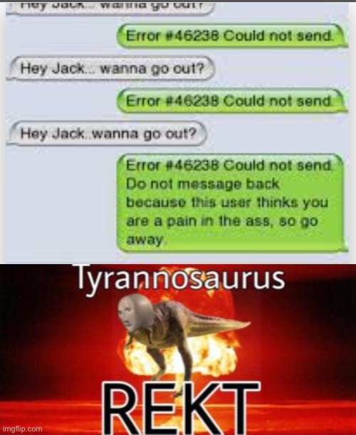 You just got rekt | image tagged in tyrannosaurus rekt | made w/ Imgflip meme maker