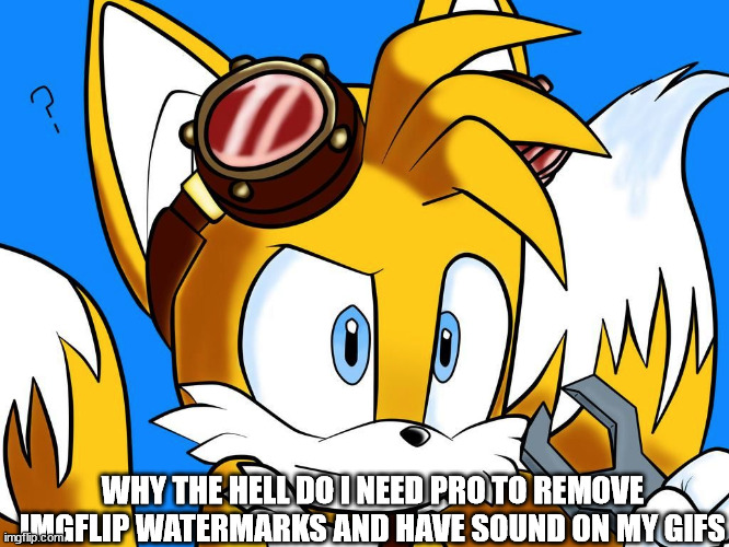 untitled | WHY THE HELL DO I NEED PRO TO REMOVE IMGFLIP WATERMARKS AND HAVE SOUND ON MY GIFS | image tagged in memes,tails,meanwhile on imgflip | made w/ Imgflip meme maker