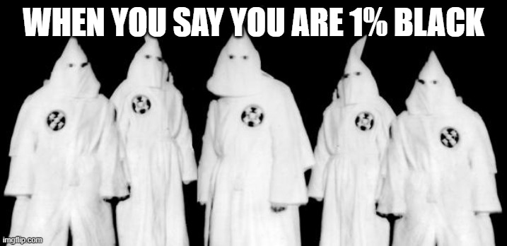 kkk | WHEN YOU SAY YOU ARE 1% BLACK | image tagged in kkk | made w/ Imgflip meme maker