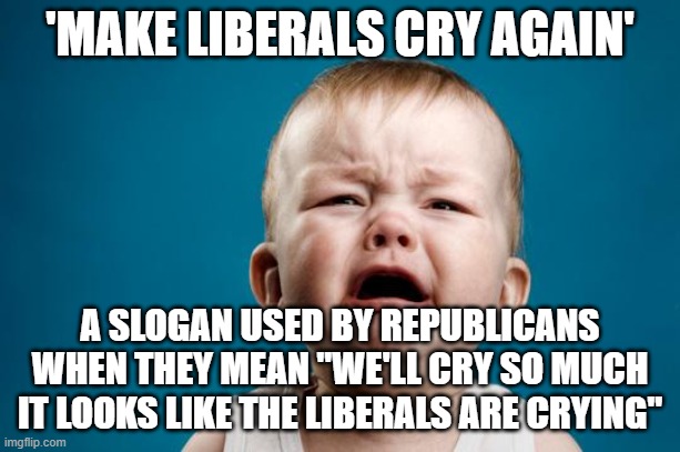 BABY CRYING | 'MAKE LIBERALS CRY AGAIN'; A SLOGAN USED BY REPUBLICANS WHEN THEY MEAN "WE'LL CRY SO MUCH IT LOOKS LIKE THE LIBERALS ARE CRYING" | image tagged in baby crying | made w/ Imgflip meme maker