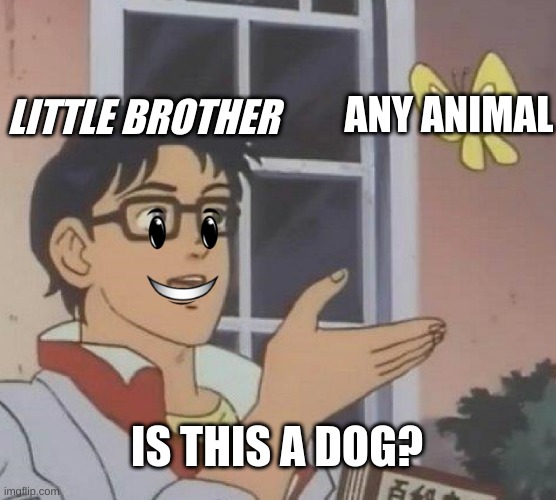 Is This A Pigeon | LITTLE BROTHER; ANY ANIMAL; IS THIS A DOG? | image tagged in memes,is this a pigeon | made w/ Imgflip meme maker