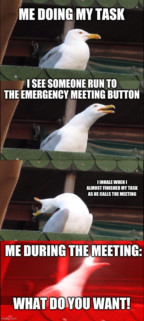 Inhaling Seagull | ME DOING MY TASK; I SEE SOMEONE RUN TO THE EMERGENCY MEETING BUTTON; I INHALE WHEN I ALMOST FINISHED MY TASK AS HE CALLS THE MEETING; ME DURING THE MEETING:; WHAT DO YOU WANT! | image tagged in memes,inhaling seagull | made w/ Imgflip meme maker