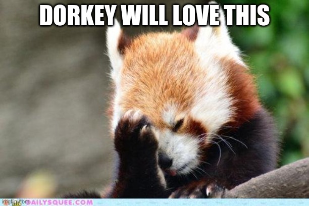 red panda facepalm | DORKEY WILL LOVE THIS | image tagged in red panda facepalm | made w/ Imgflip meme maker