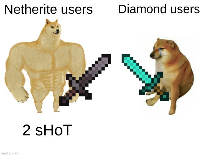 When you have netherite | Netherite users; Diamond users; 2 sHoT | image tagged in memes,buff doge vs cheems | made w/ Imgflip meme maker