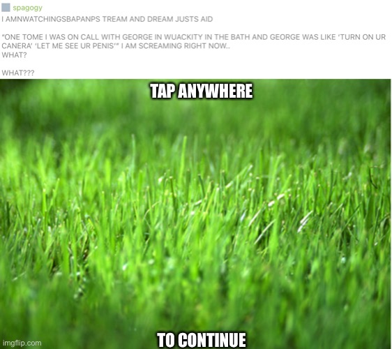 touch grass | TAP ANYWHERE; TO CONTINUE | image tagged in grass is greener | made w/ Imgflip meme maker
