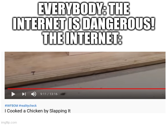Actual video, it really interesting actually |  EVERYBODY: THE INTERNET IS DANGEROUS! THE INTERNET: | image tagged in blank white template | made w/ Imgflip meme maker