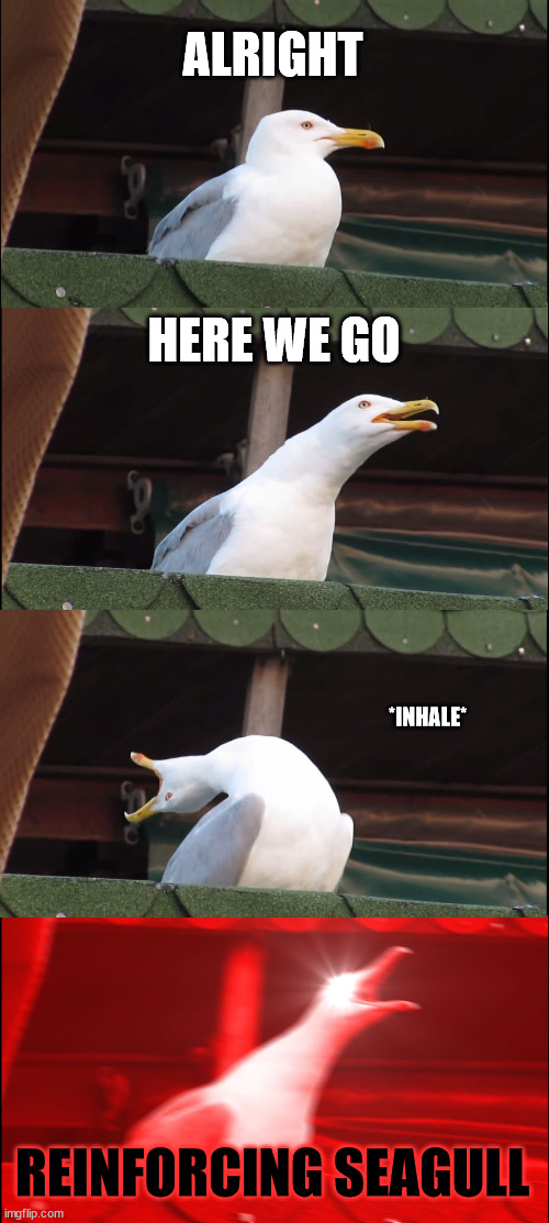 Reinforcing Seagull | ALRIGHT; HERE WE GO; *INHALE*; REINFORCING SEAGULL | image tagged in memes,inhaling seagull | made w/ Imgflip meme maker
