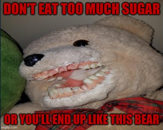Tone down the sugar | DON'T EAT TOO MUCH SUGAR; OR YOU'LL END UP LIKE THIS BEAR | image tagged in don't do drugs | made w/ Imgflip meme maker