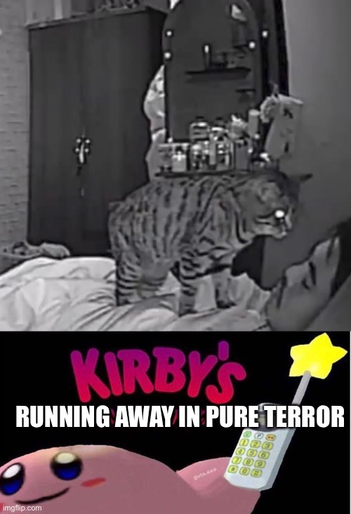 RUNNING AWAY IN PURE TERROR | image tagged in kirby's calling the police,cat,cursed image | made w/ Imgflip meme maker