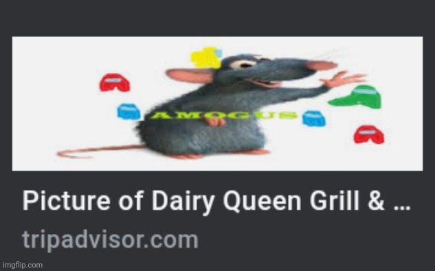 Wtf | image tagged in e | made w/ Imgflip meme maker