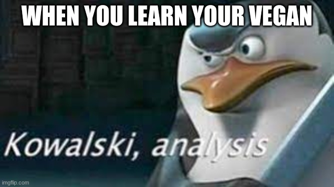 WHEN YOU LEARN YOUR VEGAN | image tagged in kowalski analysis | made w/ Imgflip meme maker