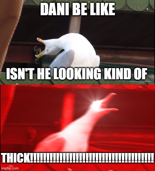 dani be like | DANI BE LIKE; ISN'T HE LOOKING KIND OF; THICK!!!!!!!!!!!!!!!!!!!!!!!!!!!!!!!!!!!!!! | image tagged in funny memes | made w/ Imgflip meme maker