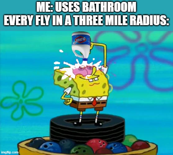 who reads the titles anymore? | ME: USES BATHROOM
EVERY FLY IN A THREE MILE RADIUS: | image tagged in stop reading the tags,please stop reading the tags,dude stop | made w/ Imgflip meme maker