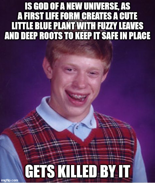 Oh my God, that's unfortunate! | IS GOD OF A NEW UNIVERSE, AS A FIRST LIFE FORM CREATES A CUTE LITTLE BLUE PLANT WITH FUZZY LEAVES AND DEEP ROOTS TO KEEP IT SAFE IN PLACE; GETS KILLED BY IT | image tagged in memes,bad luck brian,oof,god,safe,killed | made w/ Imgflip meme maker