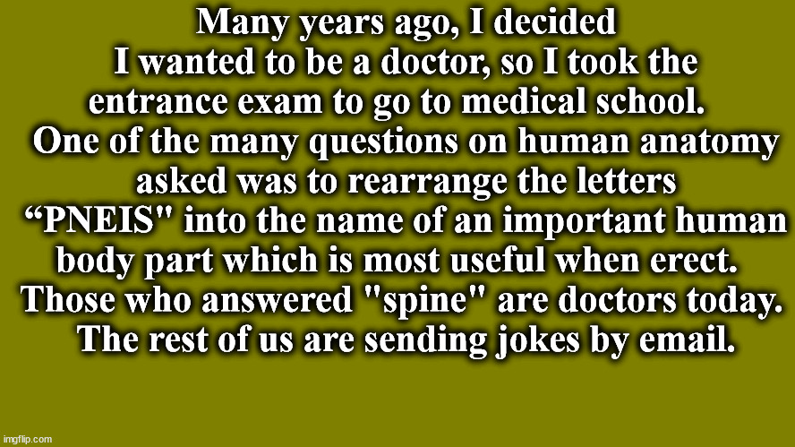 Green | Many years ago, I decided I wanted to be a doctor, so I took the entrance exam to go to medical school.  
One of the many questions on human anatomy asked was to rearrange the letters “PNEIS" into the name of an important human body part which is most useful when erect.  
Those who answered "spine" are doctors today. 
The rest of us are sending jokes by email. | image tagged in green | made w/ Imgflip meme maker